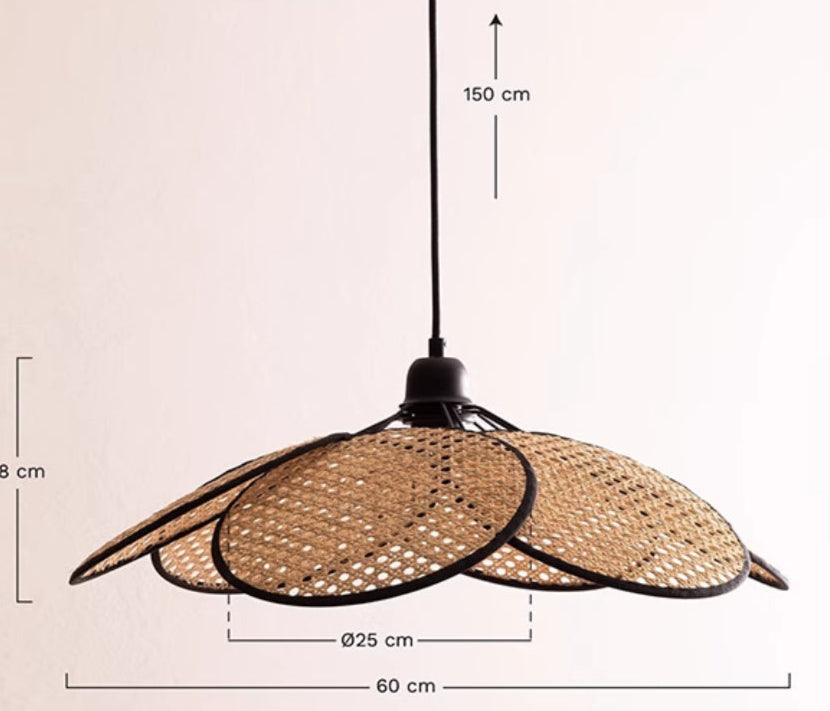 Pendente Ceiling Rims - popbox
