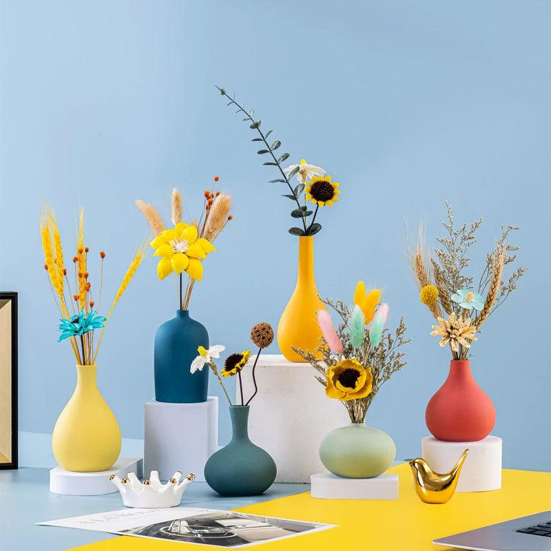Vaso Morandi - popbox