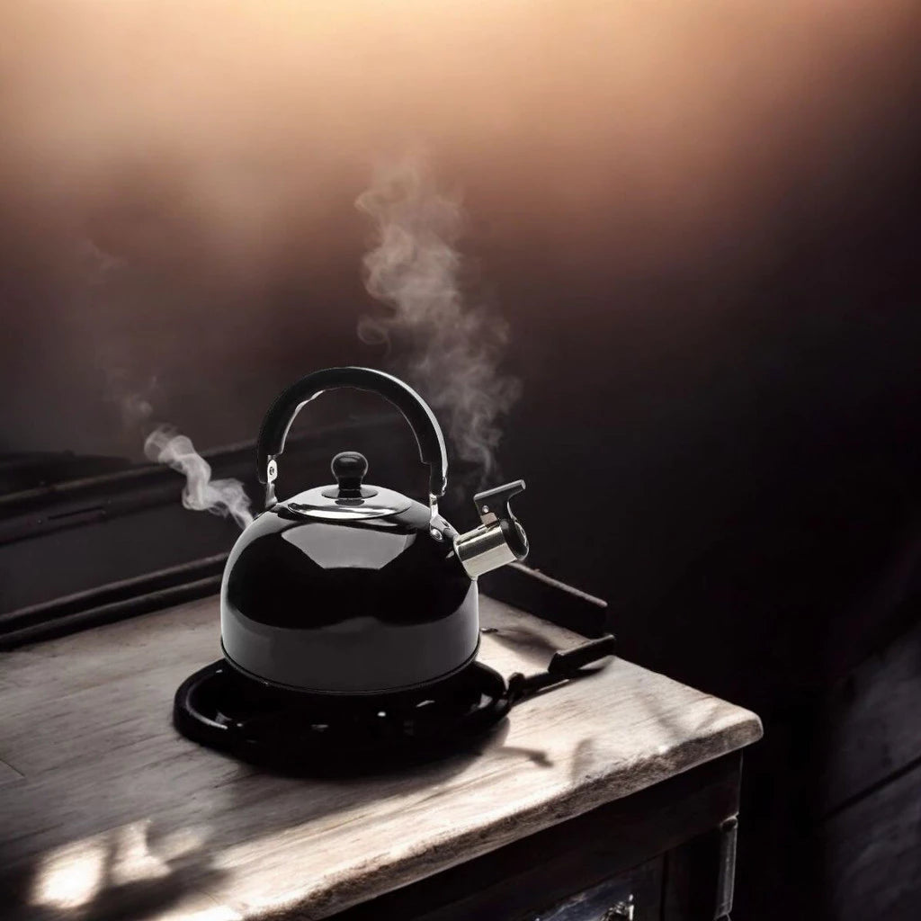Chaleira Inox Whistle