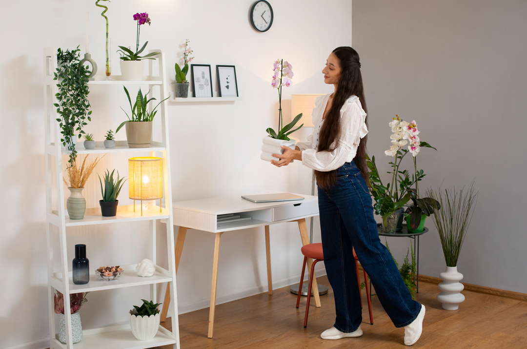 Como Decorar Apartamento Pequeno: Dicas Práticas e Criativas