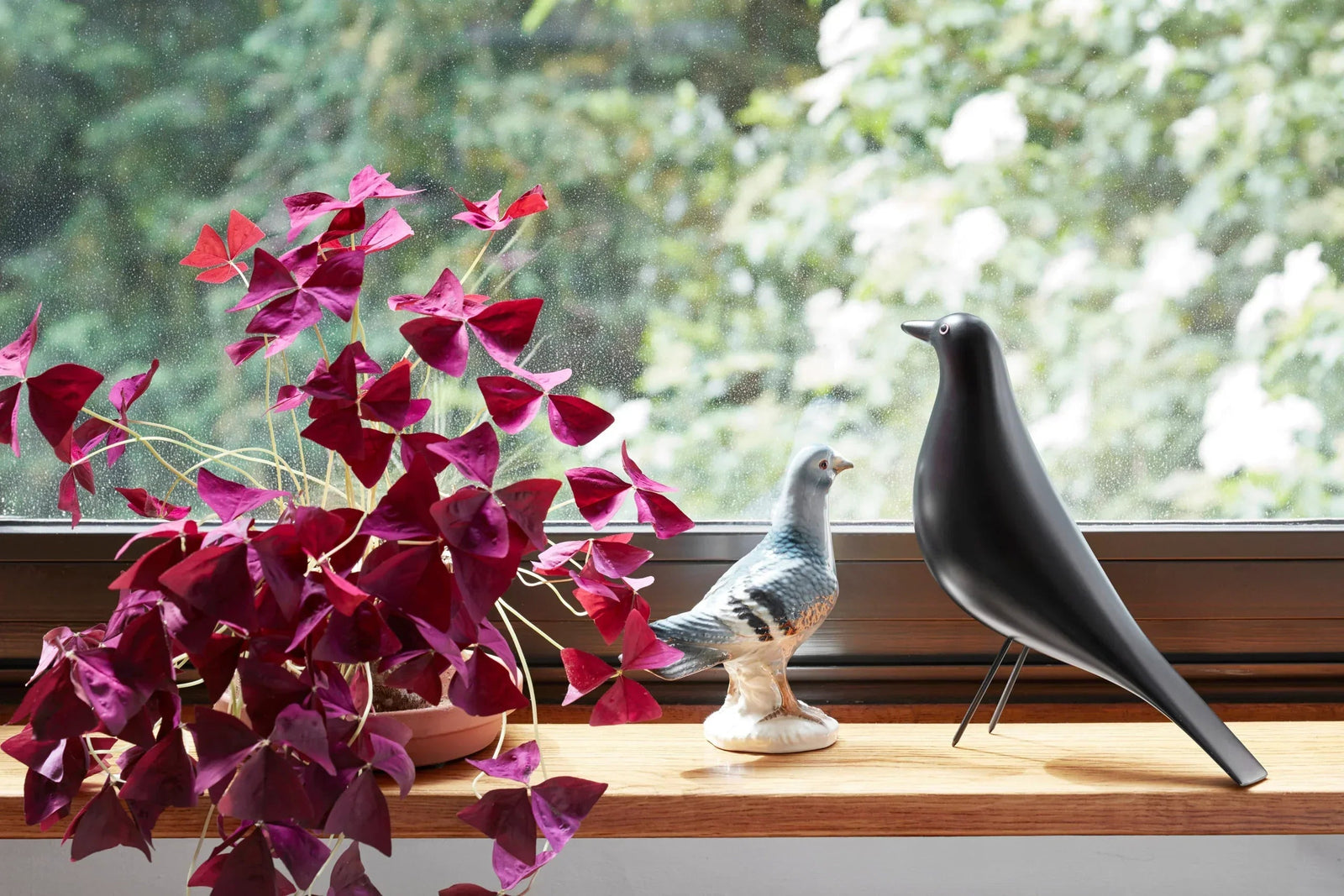 Sugestões de Presente para o Dia das Mães: Ideias Criativas para Surpreender - Popbox Home Design