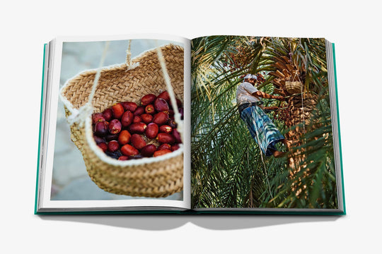 Livro Abu Dhabi Bright