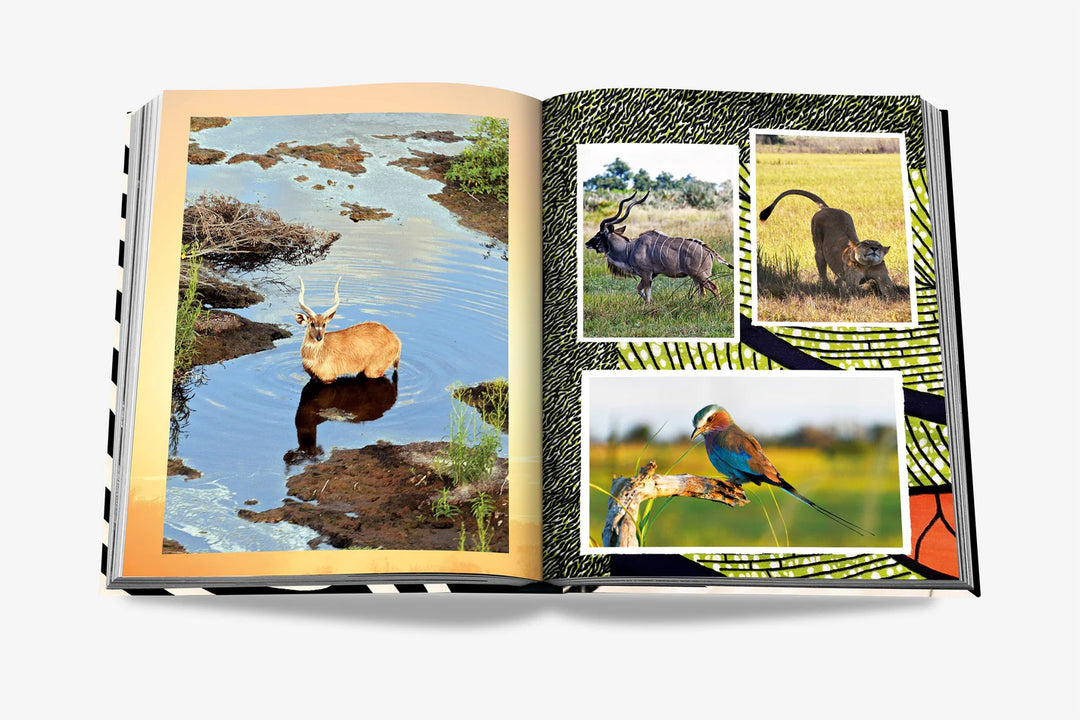 Livro African Adventures - Popbox