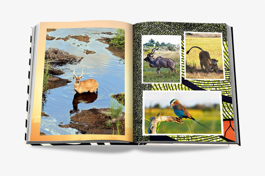 Livro African Adventures - Popbox