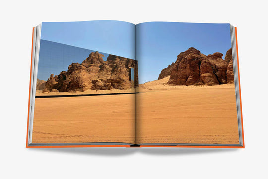 Livro Alula Ever