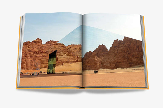 Livro Alula Ever