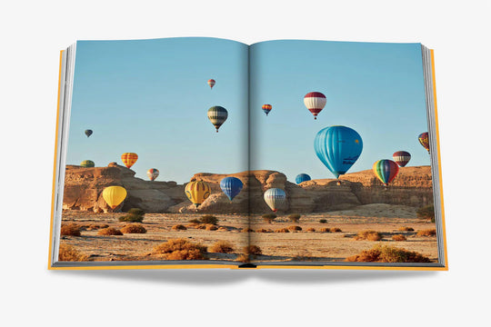 Livro Alula Ever