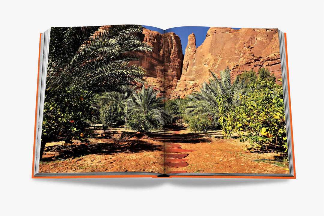 Livro Alula Ever