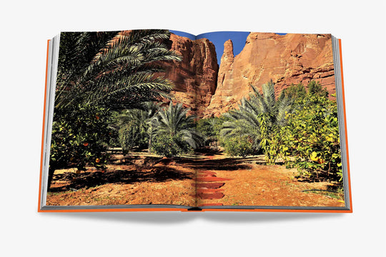 Livro Alula Ever