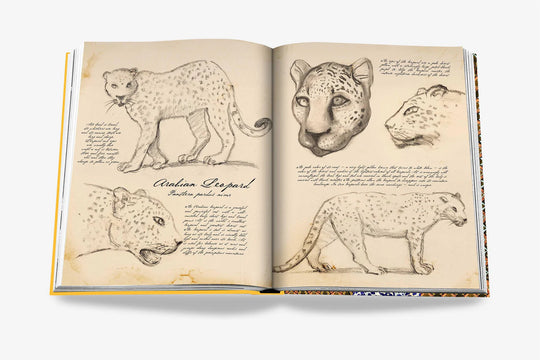 Livro Arabian Leopard
