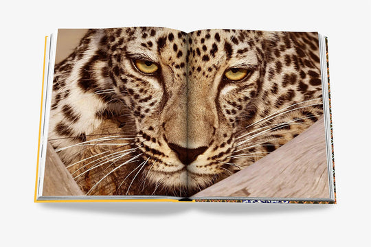 Livro Arabian Leopard