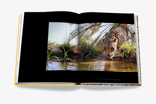 Livro Arabian Leopard