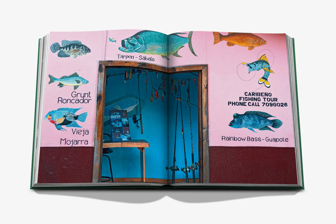 Livro Costa Rica Vida