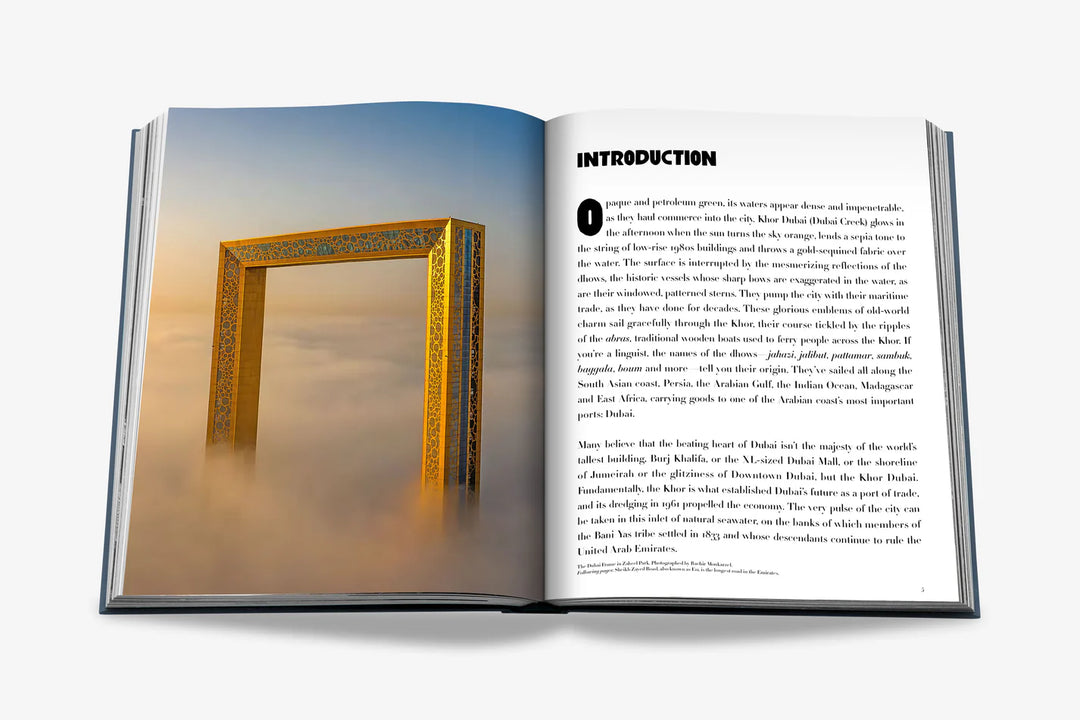 Livro Dubai Wonder
