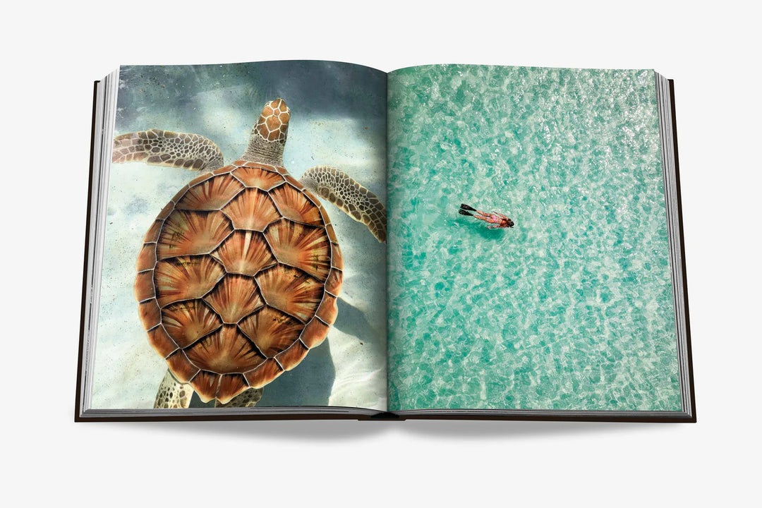 Livro Jamaica Vibes
