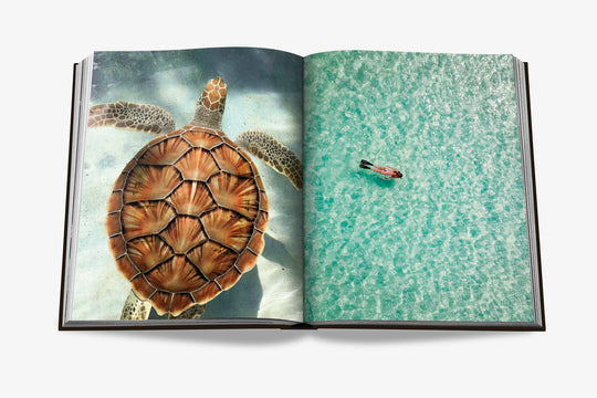 Livro Jamaica Vibes