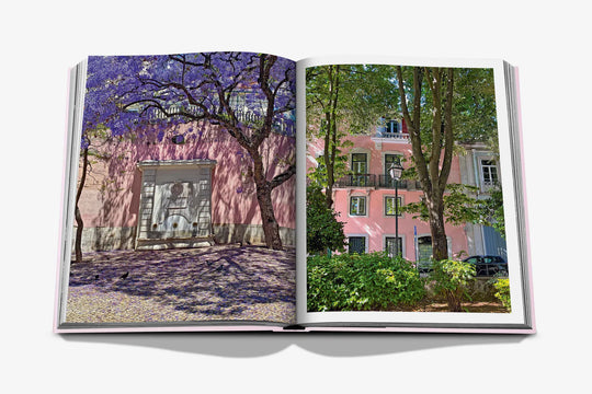 Livro Lisboa Luz