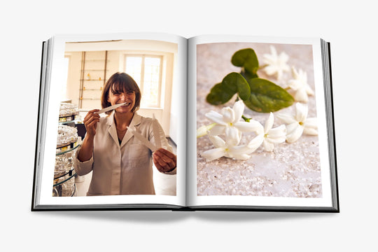 Livro Louis Vuitton Manufactures