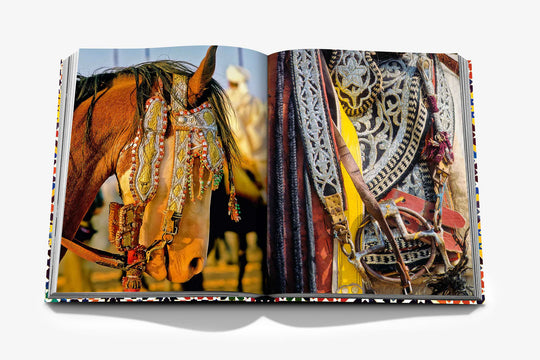Livro Moroccan Decorative Arts