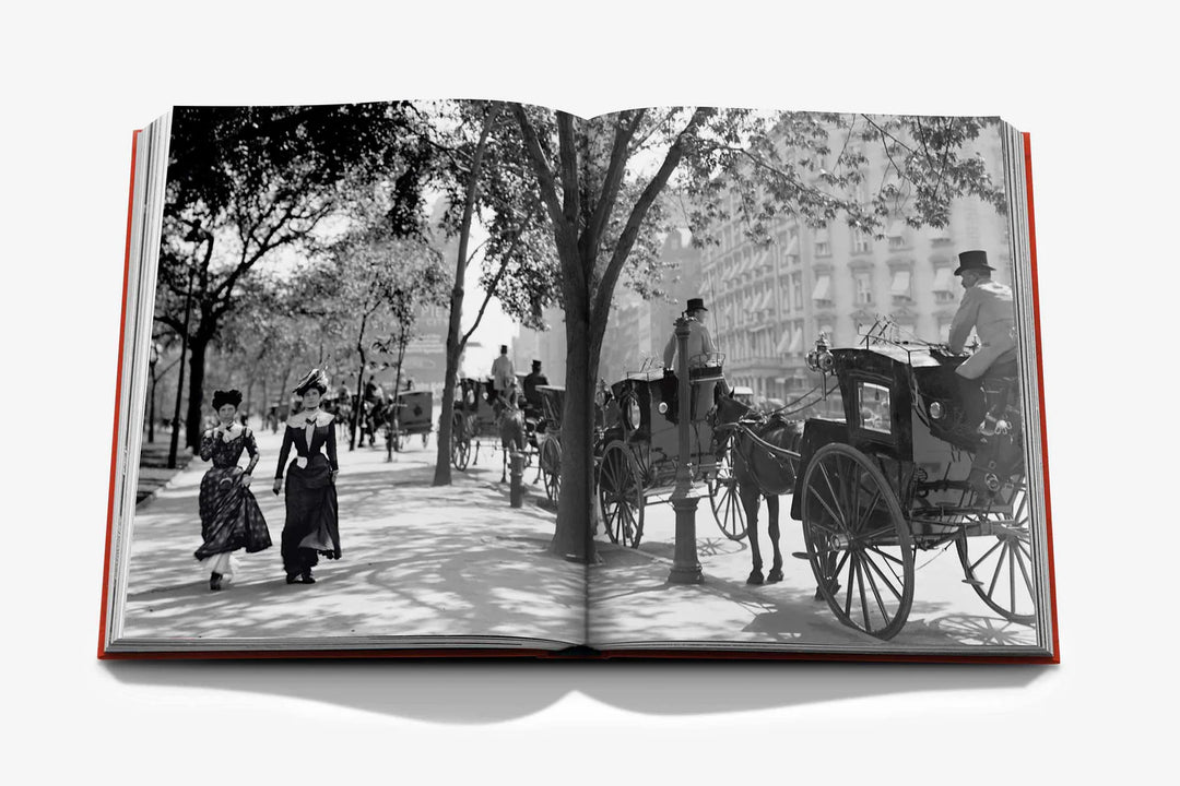 Livro New York By New York
