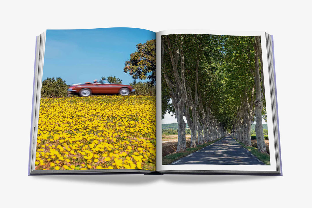 Livro Provence Glory
