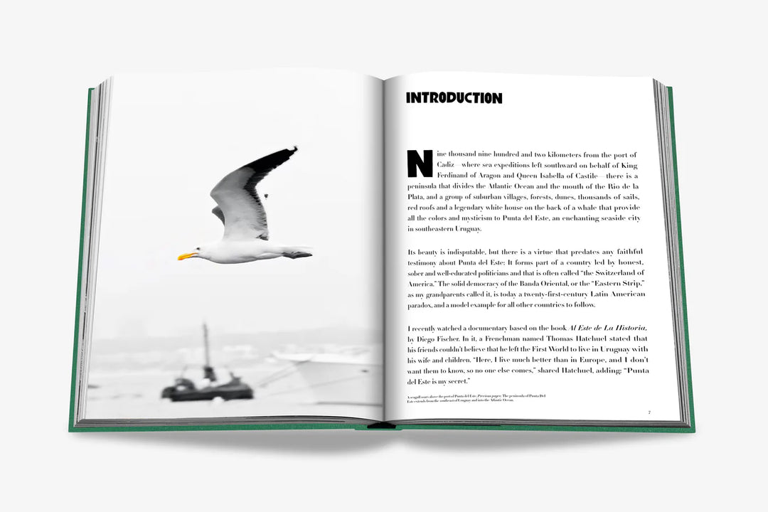 Livro Punta Del Este