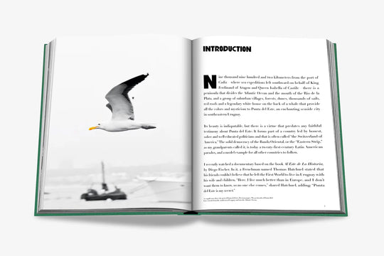 Livro Punta Del Este