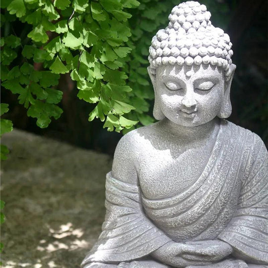 Buddha Garden - popbox