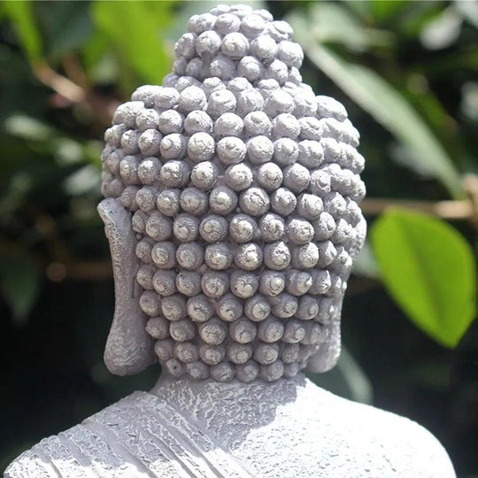 Buddha Garden - popbox