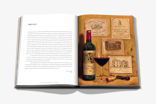 Livro Wine & Travel France