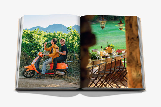 Livro Wine & Travel France