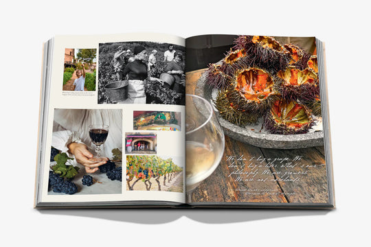 Livro Wine & Travel France