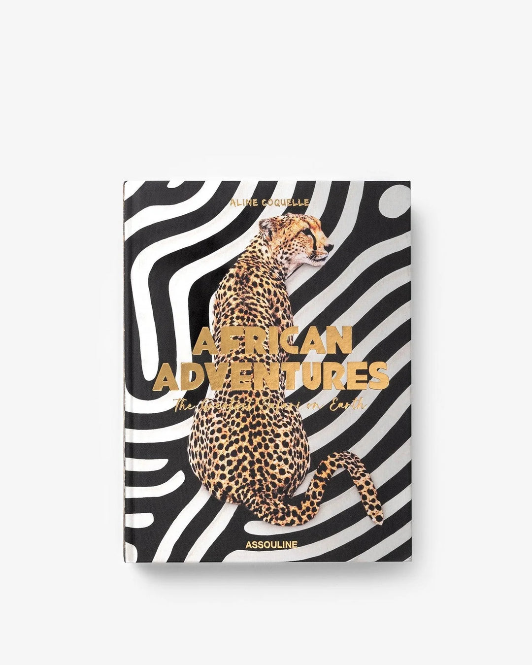 Livro African Adventures - Popbox