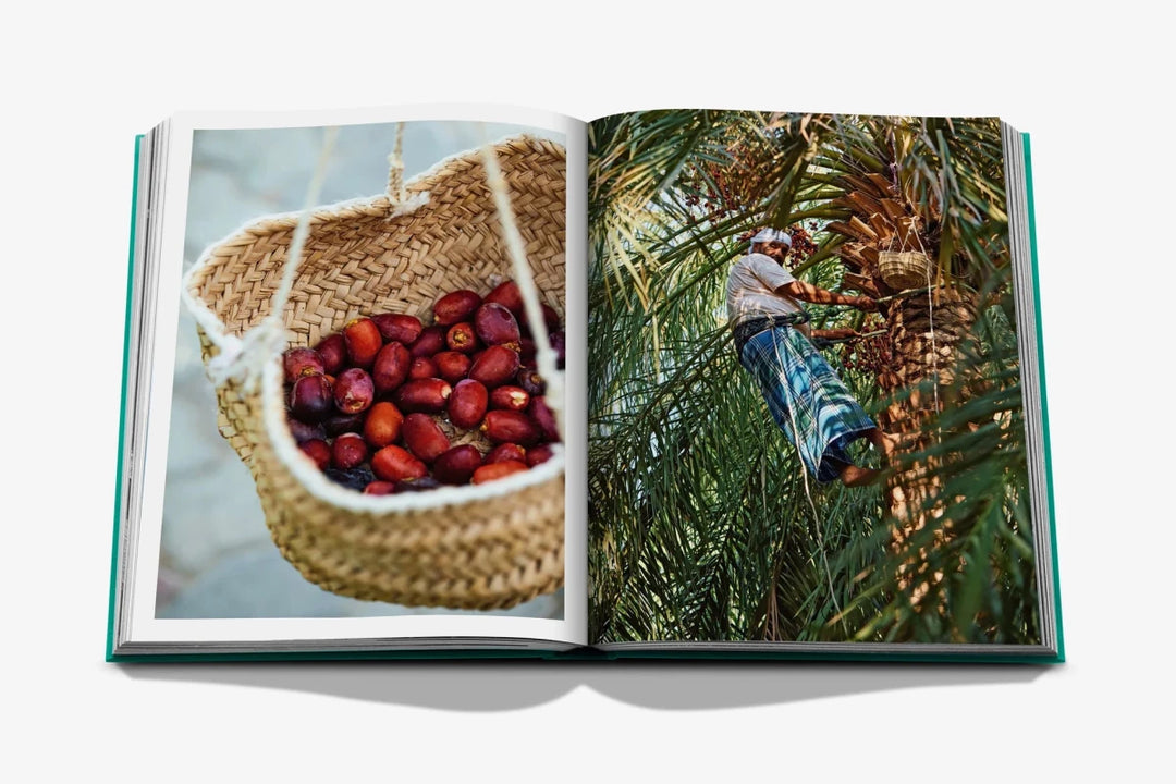 Livro Abu Dhabi Bright - Popbox Home Design