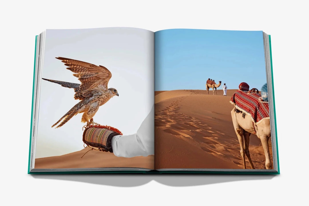 Livro Abu Dhabi Bright - Popbox Home Design