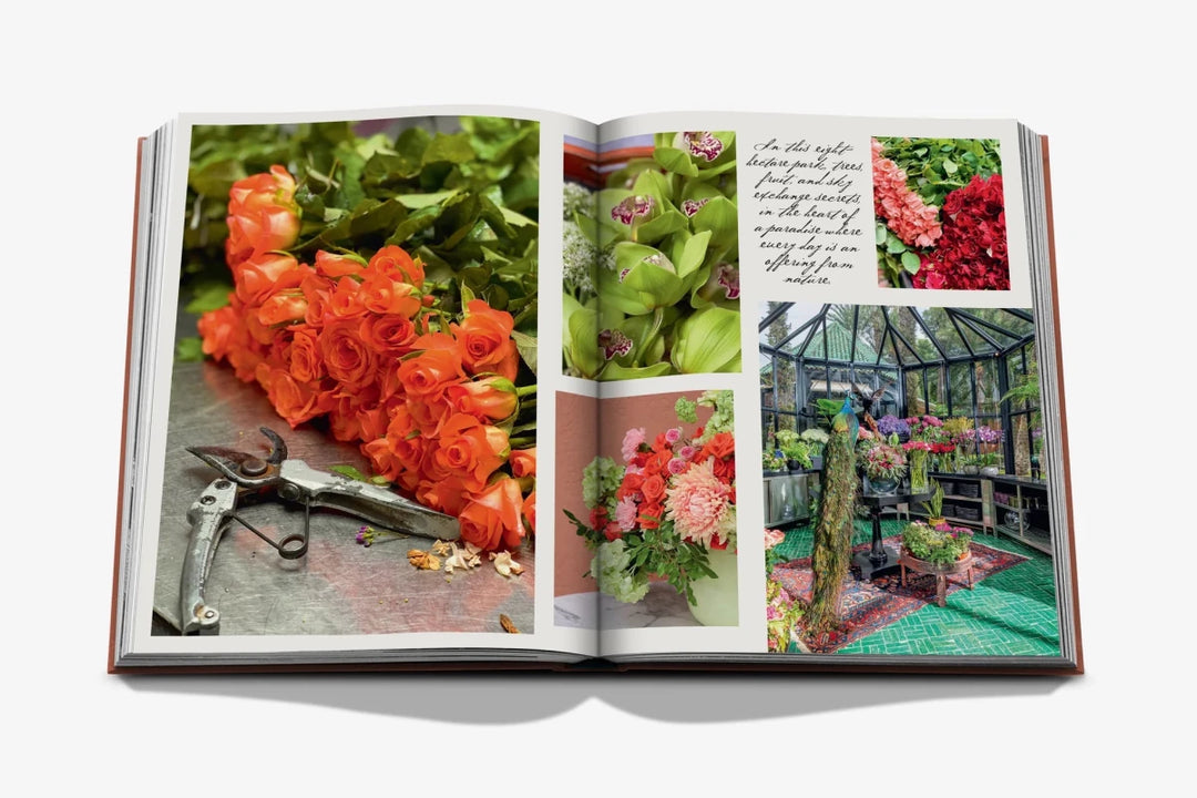Livro La Mamounia Marrakech - Popbox Home Design