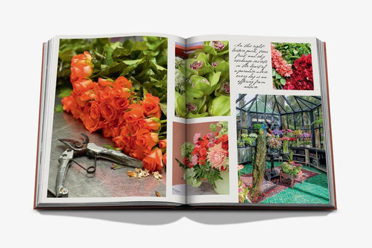 Livro La Mamounia Marrakech - Popbox Home Design