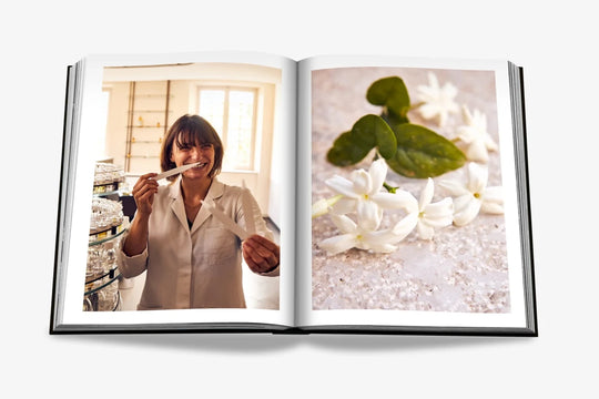 Livro Louis Vuitton Manufactures - Popbox Home Design