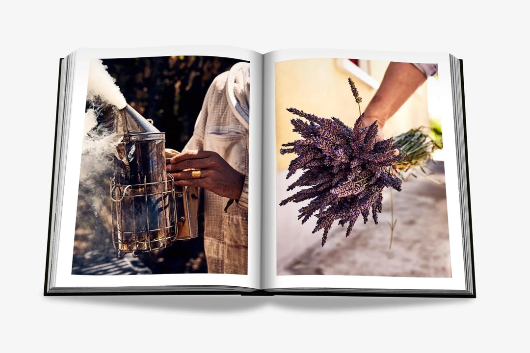 Livro Louis Vuitton Manufactures - Popbox Home Design