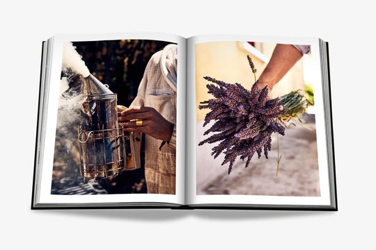 Livro Louis Vuitton Manufactures - Popbox Home Design