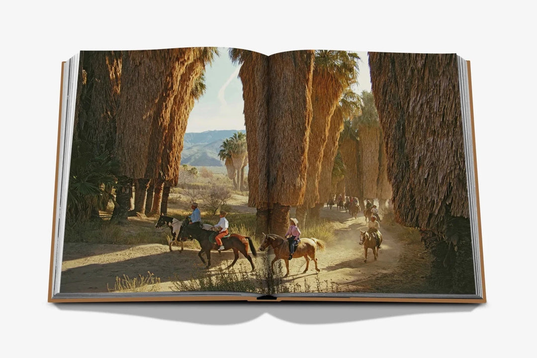 Livro Palm Springs - Assouline - Popbox Home Design