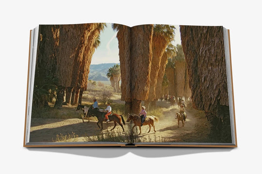 Livro Palm Springs - Assouline - Popbox Home Design