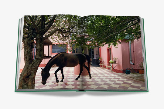Livro Punta Del Este - Popbox Home Design