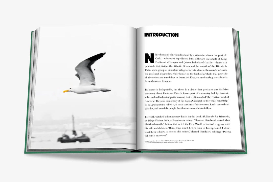 Livro Punta Del Este - Popbox Home Design