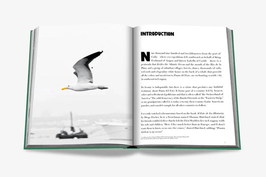 Livro Punta Del Este - Popbox Home Design
